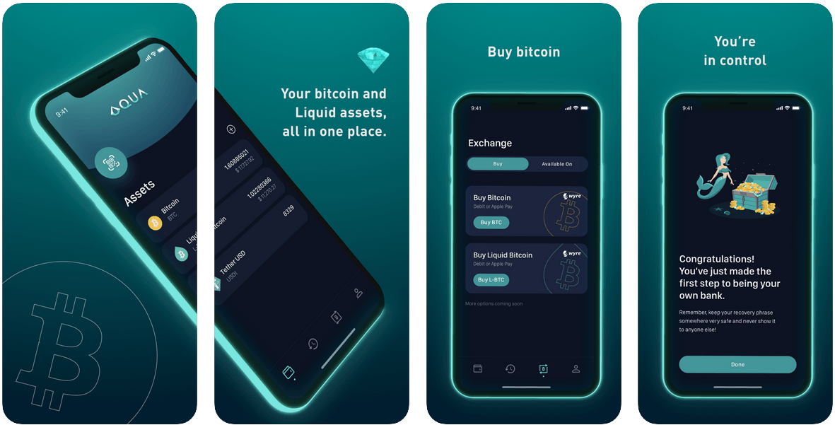 Most secure ios bitcoin wallet